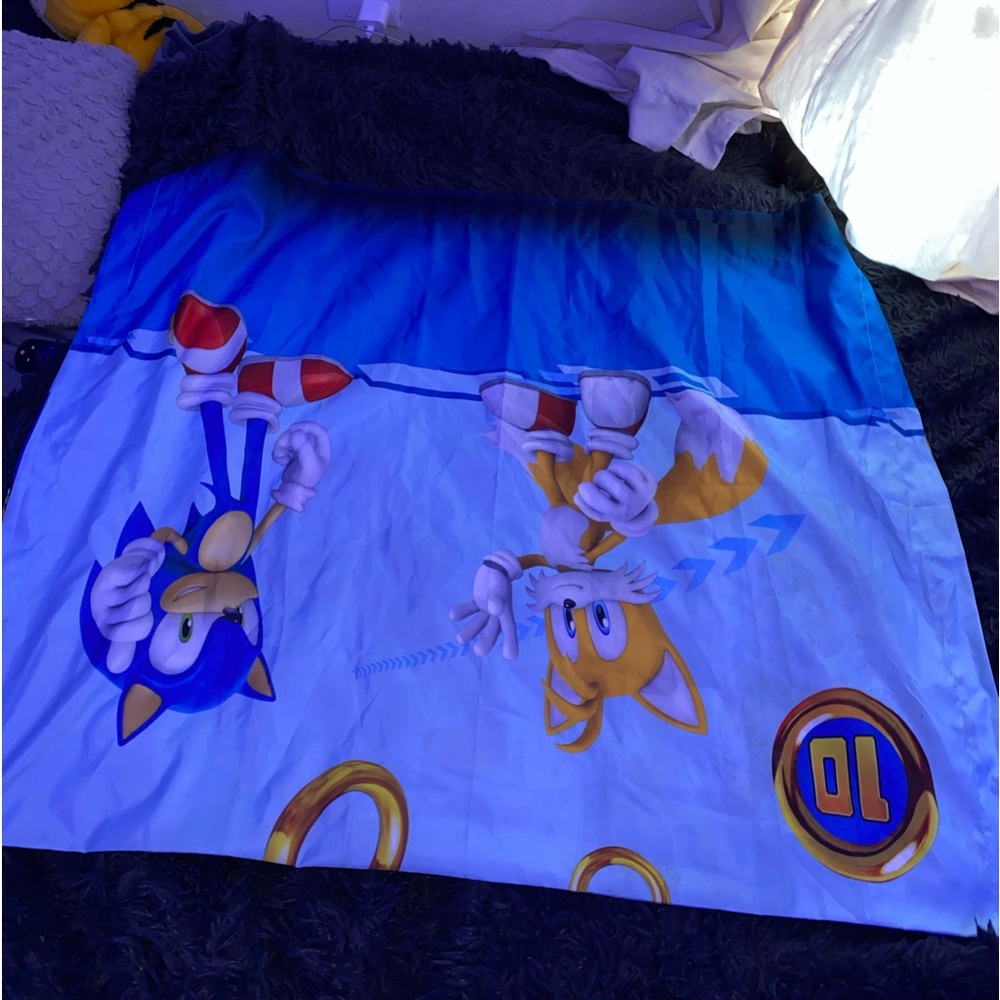Sonic and Friends Curtains x2